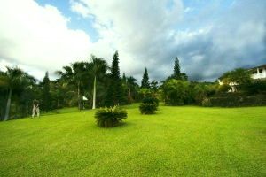nine hole executive golf course nine hole executive golf course